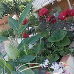 L'oustaou Dorey 滨海圣西尔